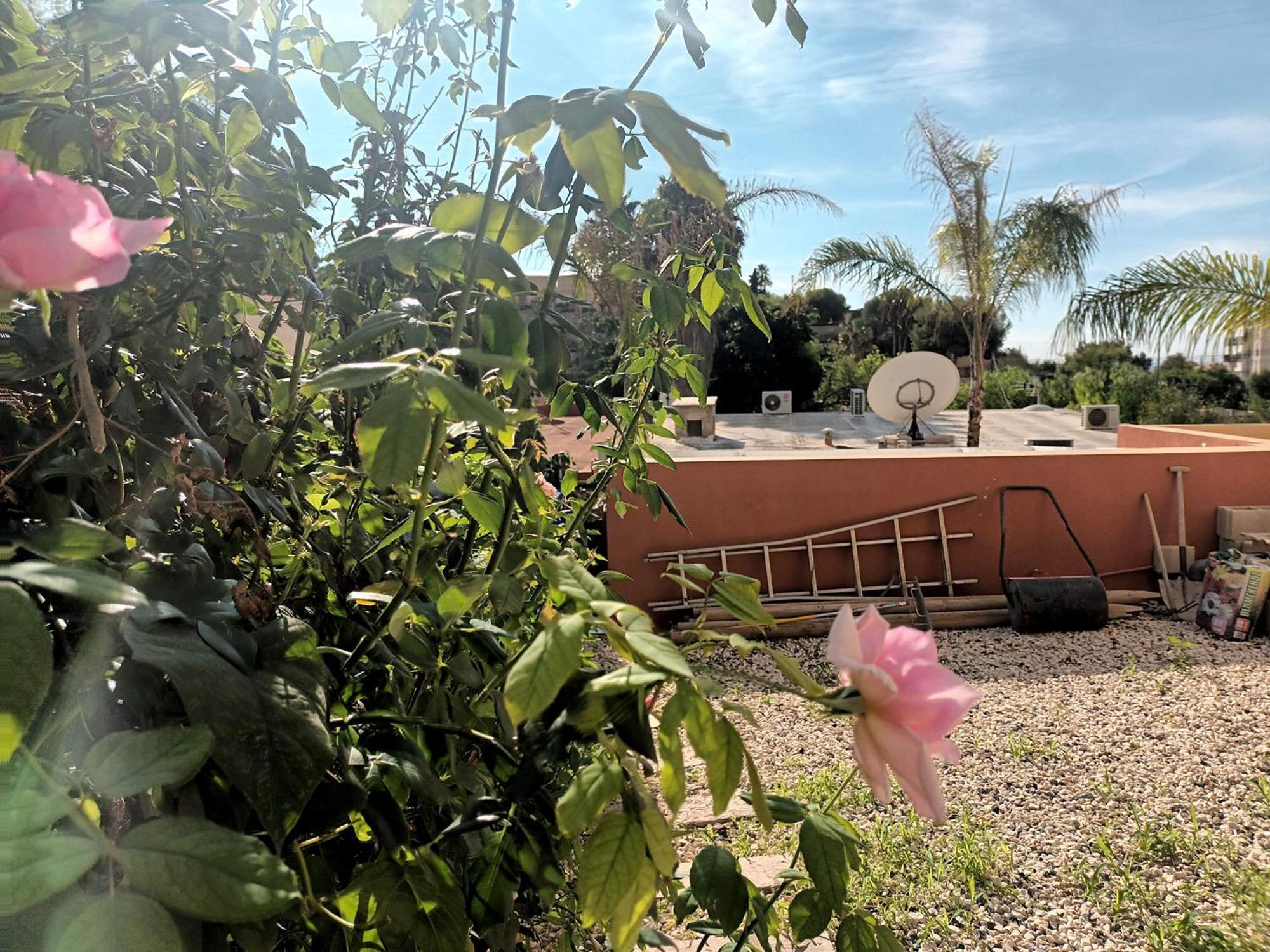 Guesthouse en Coveta fumà- El Campello Esterno foto