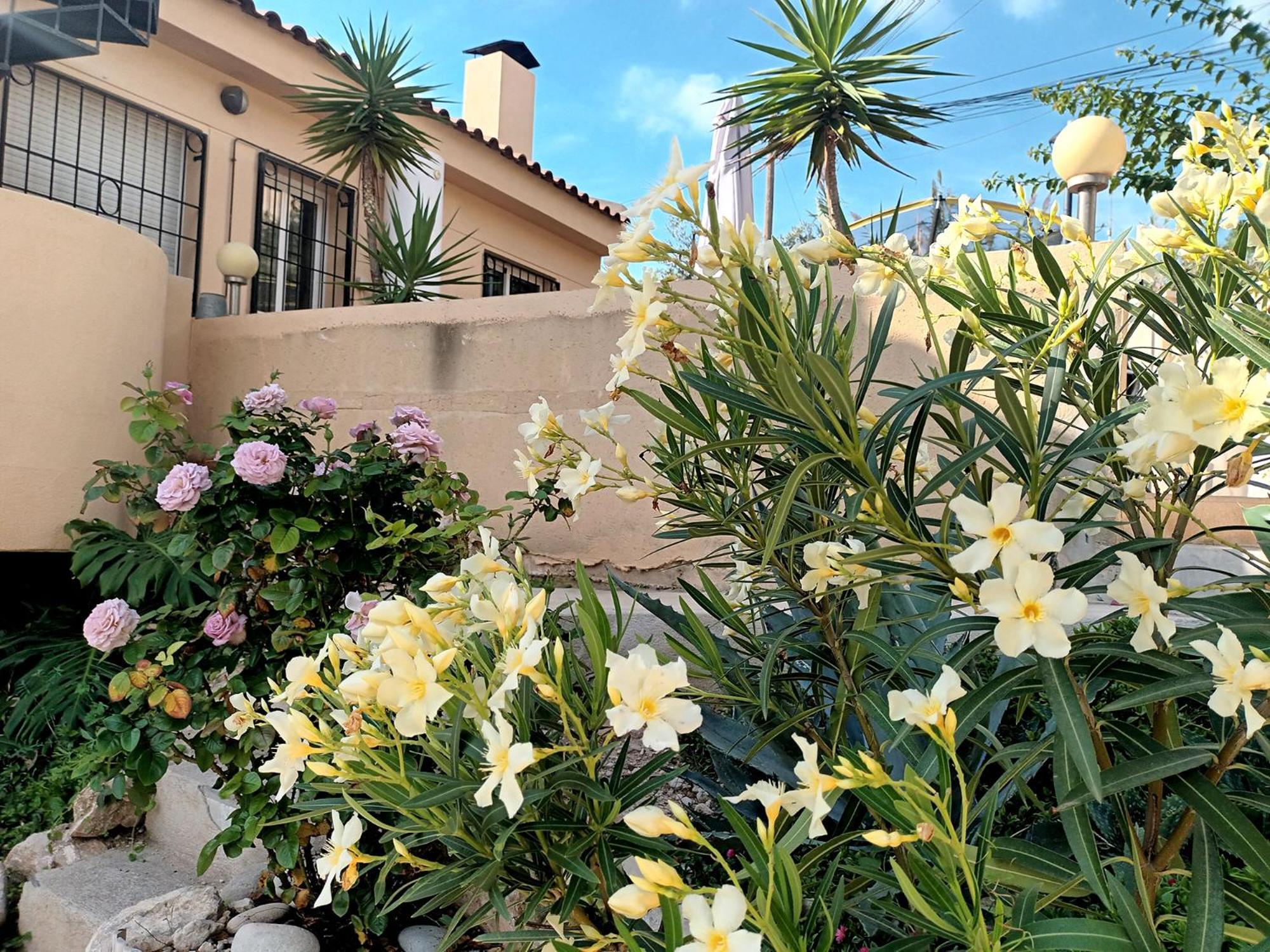 Guesthouse en Coveta fumà- El Campello Esterno foto